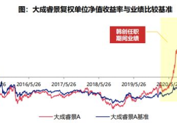 大成2020基金,稳健增长，共创辉煌