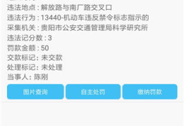 贵州省车辆违章查询,多渠道便捷服务，保障交通安全”